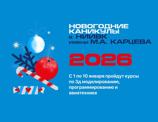 Новогодние каникулы 2026 с&nbsp;НИИВК